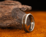 Epoch - Dinosaur Bone - Titanium