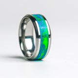 The Earth Ring