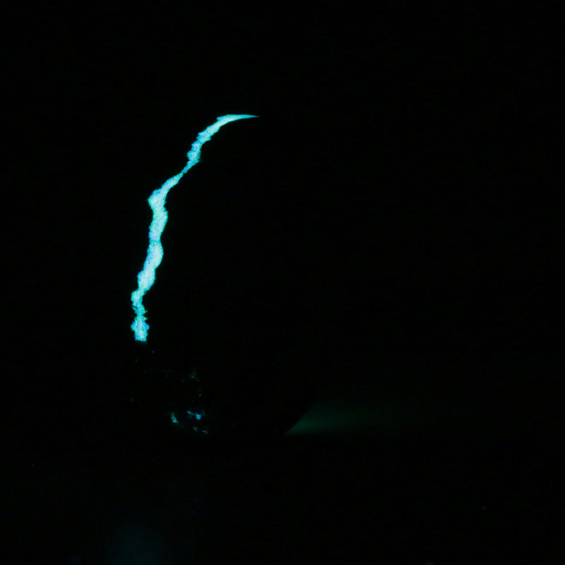 Opal and Glow on cherry over forged carbon - Size 12